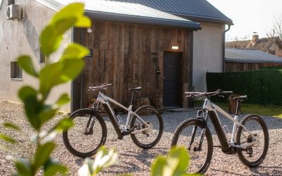 Amazing E-bike Tours Krk – Discover the Hidden Side of the Island from VSG Resort